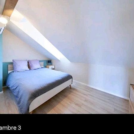 Loft Neuf Avec Bain Jacuzzi Et Terrasse Apartment Colmar Exterior photo