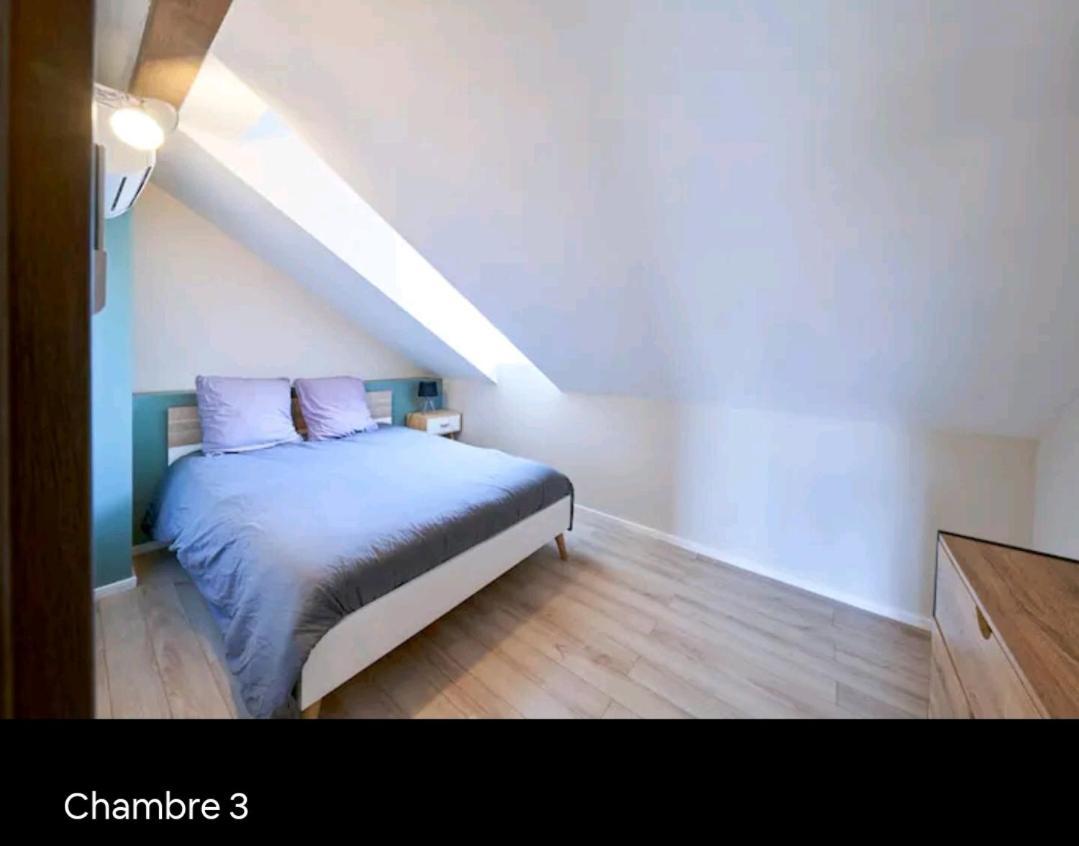 Loft Neuf Avec Bain Jacuzzi Et Terrasse Apartment Colmar Exterior photo